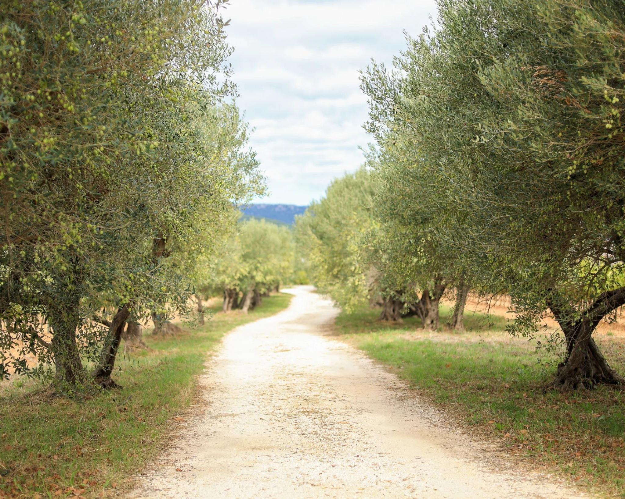 Arrière-pays Varois