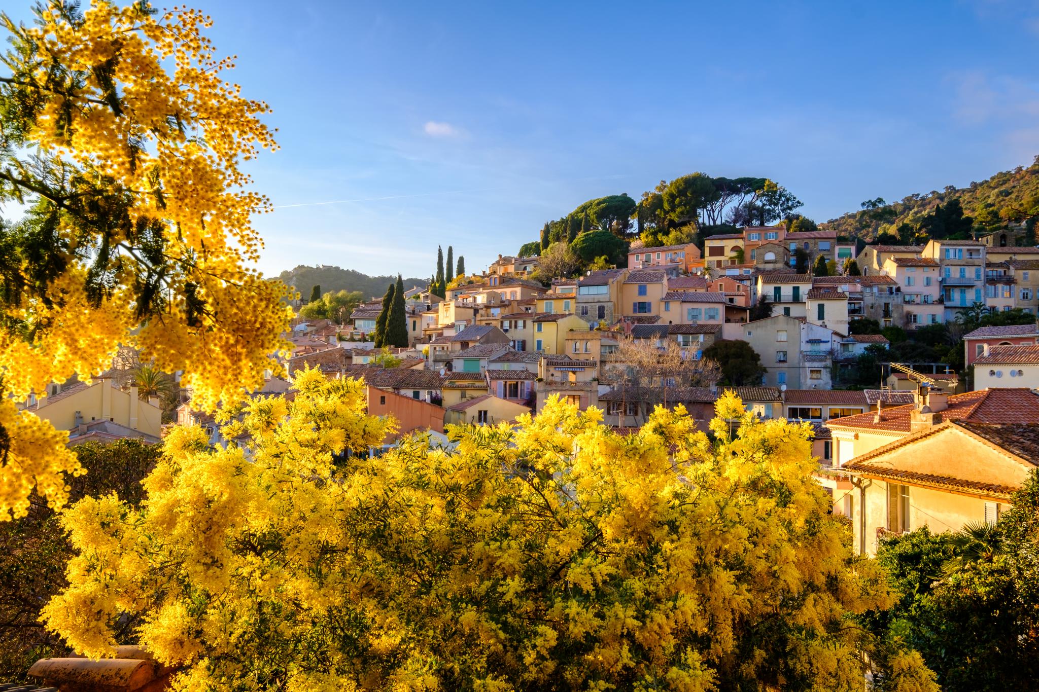Bormes-les-Mimosas